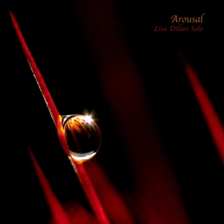 Lisa Dillan Arousal (CD)