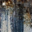 Tore Johansen Double Rainbow (CD)
