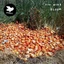 Kim Myhr Bloom (CD)