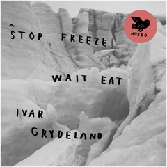 Ivar Grydeland Stop Freeze Wait Eat (LP)
