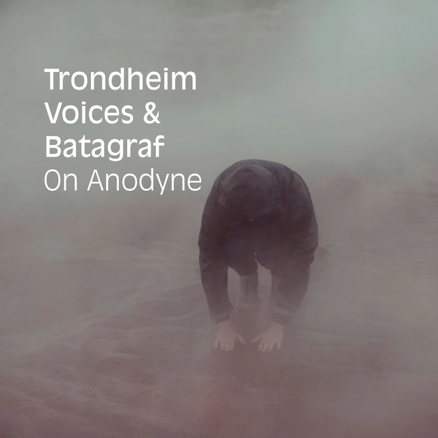 Trondheim Voices/Jon Balke/Batagraf On Anodyne (CD) 