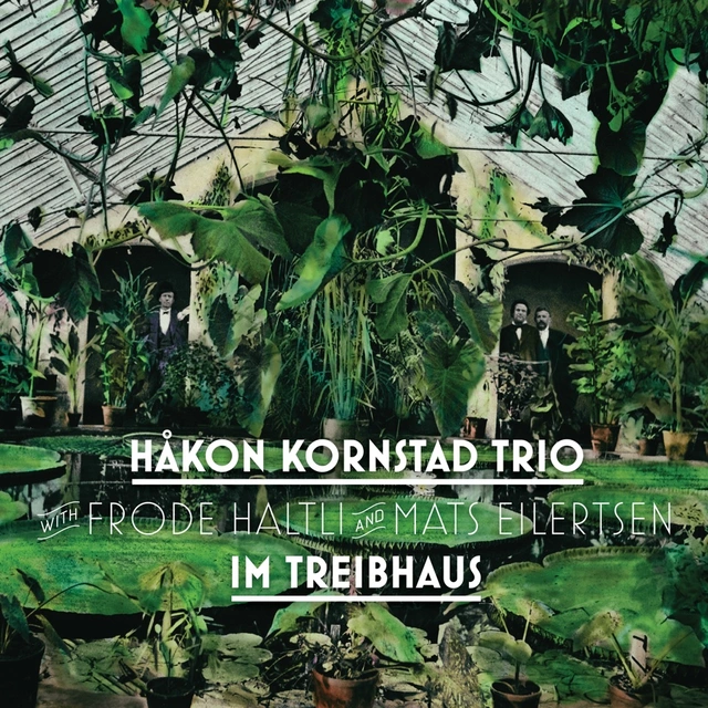 Håkon Kornstad Trio Im Treibhaus (CD) 