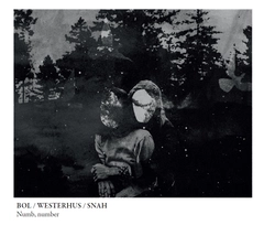 Bol/Westerhus/Snah Numb, Number (CD)
