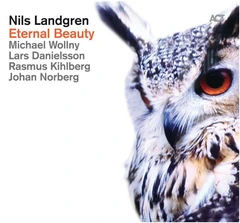 Nils Landgren Eternal Beauty (CD)