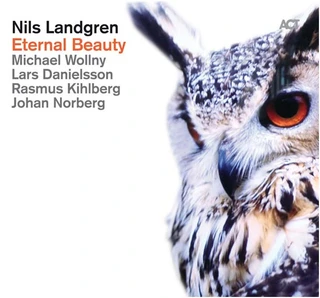 Nils Landgren Eternal Beauty (CD)