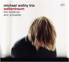 Michael Wollny Weltentraum (CD)