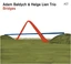 Adam Baldych &amp; Helge Lien Trio Bridges (CD)