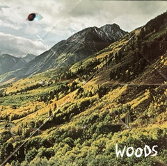 Woods Songs Of Shame (LP)