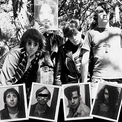 Dwarves Lick It 1983-86 - LTD (LP)