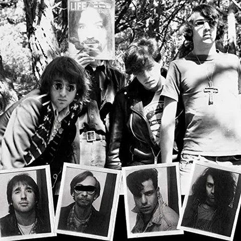 Dwarves Lick It 1983-86 - LTD (LP) 
