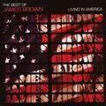 James Brown Best Of (CD)