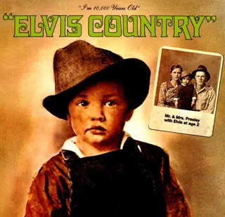 Elvis Presley Elvis Country (CD)