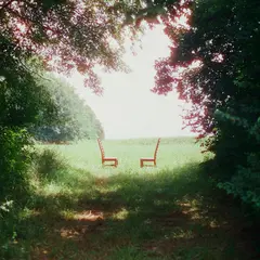 Ratboys Singin' To An Empty Chair - LTD (2LP)