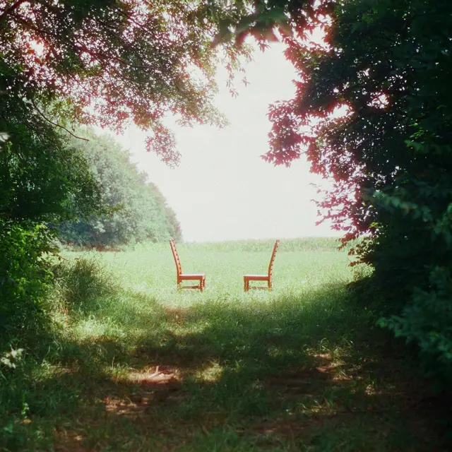 Ratboys Singin' To An Empty Chair - LTD (2LP) 