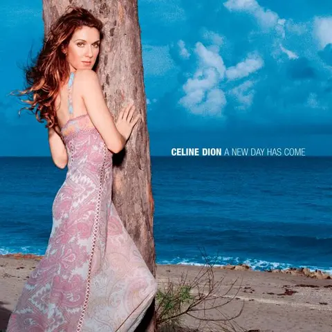 Celine Dion A New Day Has Come (CD) 