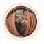 Captain Beefheart Safe As Milk (CD)