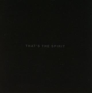 Bring Me The Horizon That's The Spirit (CD)