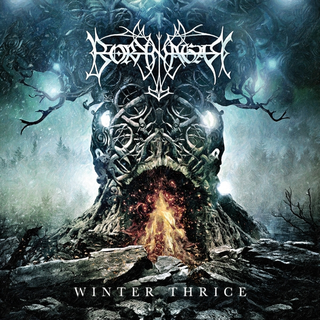 Borknagar Winter Thrice (CD)