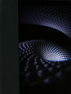 Tool Fear Inoculum - Expanded Book… (CD)