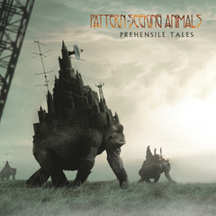 Pattern-Seeking Animals Prehensile Tales (CD)