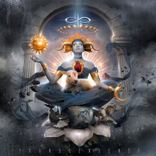 Devin Townsend Transcendence (CD)