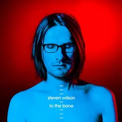 Steven Wilson To The Bone (CD)