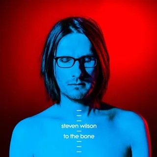 Steven Wilson To The Bone (CD)