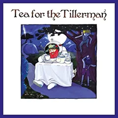 Yusuf/Cat Stevens Tea For The Tillerman² (CD)