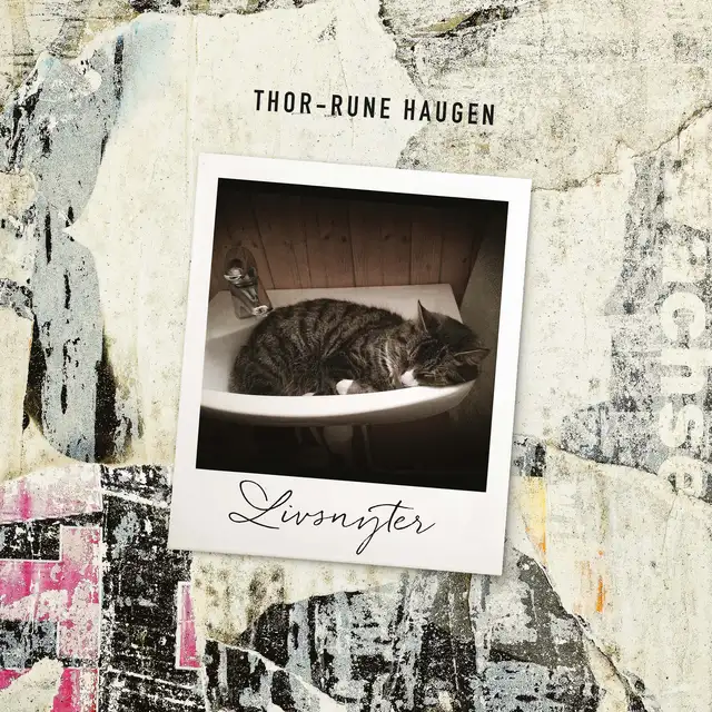 Thor-Rune Haugen Livsnyter (CD) 