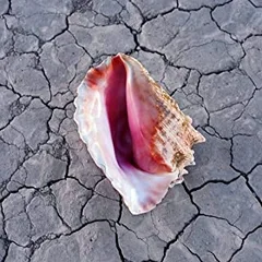 The Killers Wonderful Wonderful - DLX (CD)