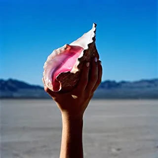 The Killers Wonderful Wonderful (CD)