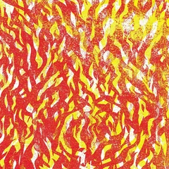 The Bug Fire - LTD (2LP)