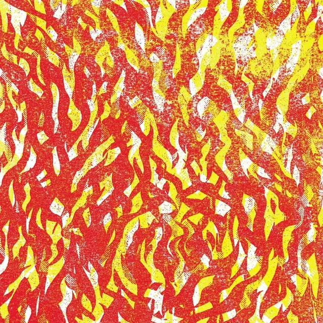 The Bug Fire - LTD (2LP) 