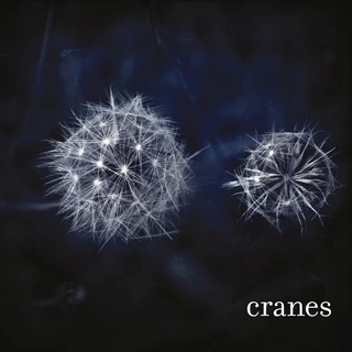 Cranes Cranes - LTD (LP)