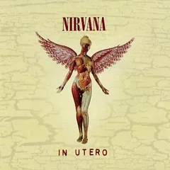 Nirvana In Utero - 20th Anniversary Edition (CD)