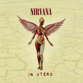 Nirvana In Utero - 20th Anniversary Edition (CD)