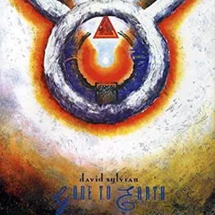 David Sylvian Gone To Earth (2CD)