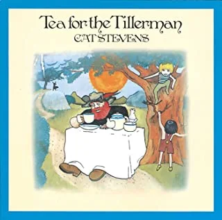 Cat Stevens Tea For The Tillerman (CD)