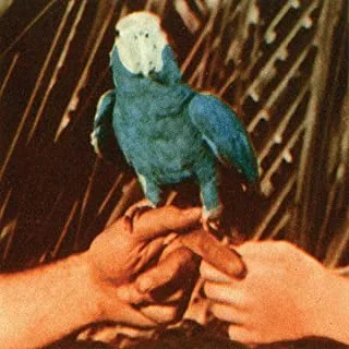 Andrew Bird Are You Serious (CD)