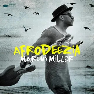 Marcus Miller Afrodeezia (CD)