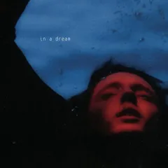 Troye Sivan In A Dream: 5th Anniversary - LTD (LP)