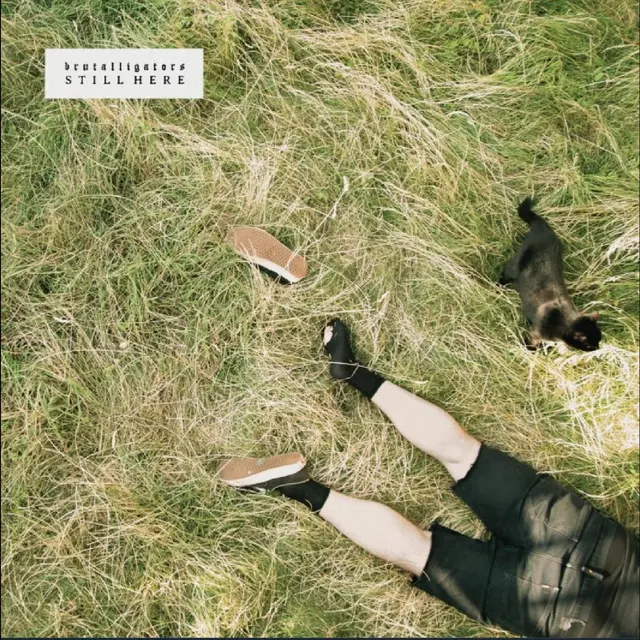 Brutalligators Still Here - LTD (LP) 