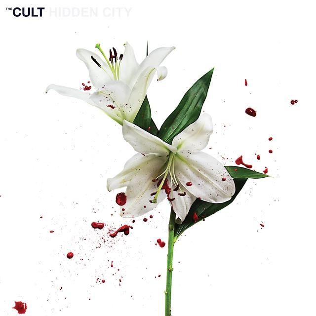 The Cult Hidden City (CD) 