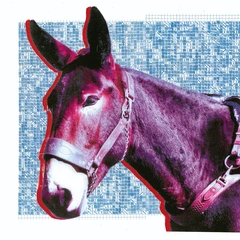 Protomartyr Ultimate Success Today (CD)