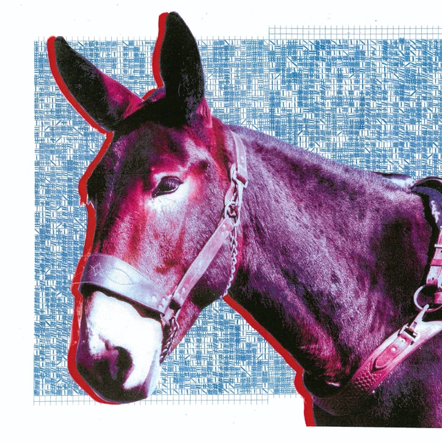 Protomartyr Ultimate Success Today (CD) 