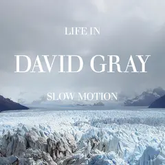 David Gray Life In Slow Motion: 20th… (LP)