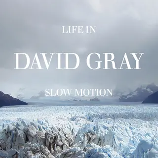 David Gray Life In Slow Motion: 20th… (LP)