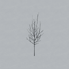 Low Ones And Sixes (CD)