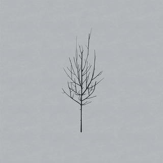 Low Ones And Sixes (CD)