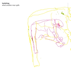 Lambchop What Another Man Spills: 20th Ann (2LP)